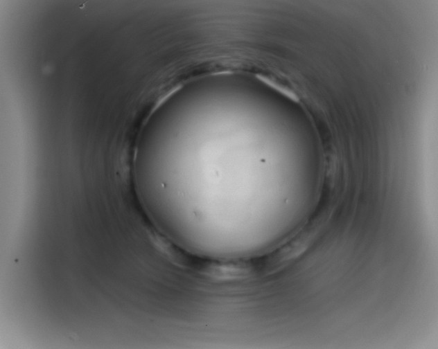 X0000114200466200910161228