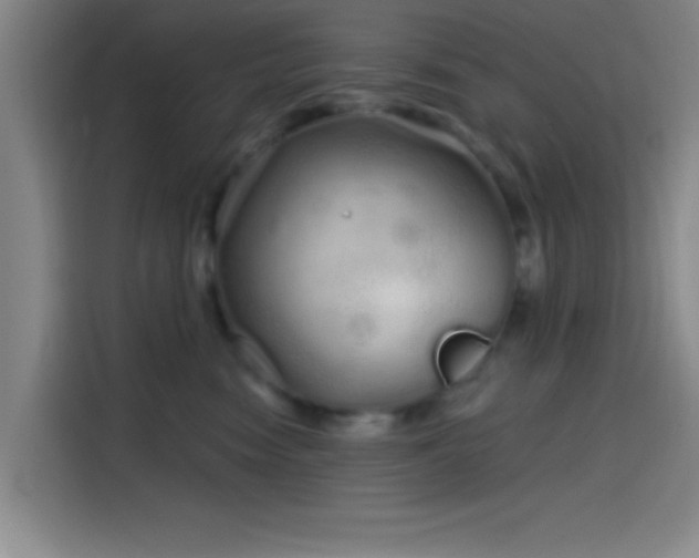 X0000114200474200910161228