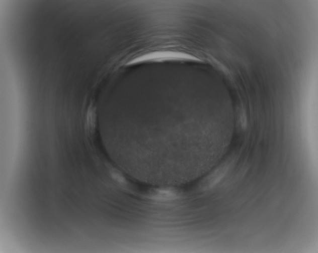 X0000114200475200910161228