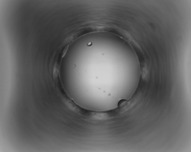 X0000114200476200910161228