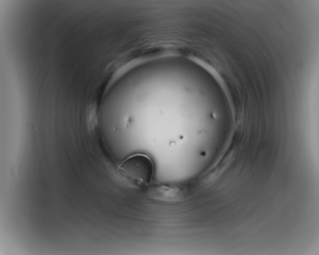 X0000114200478200910161228