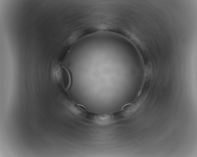 X0000114200479200910161228