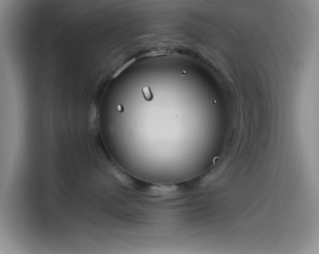 X0000114200480200910161228