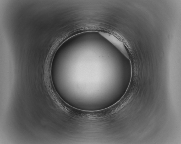 X0000114200481200910161228