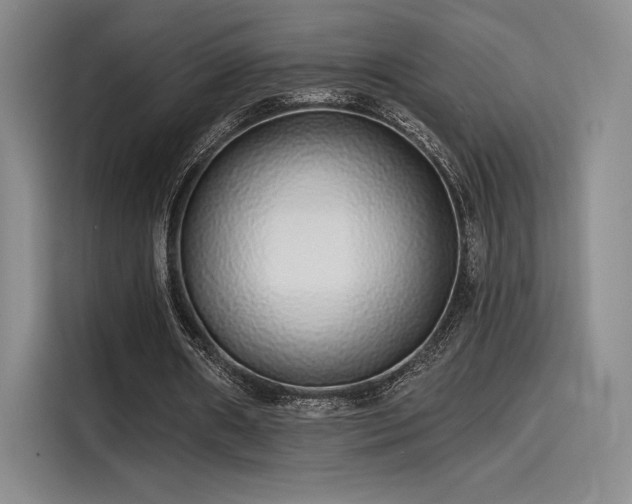 X0000114200482200910161228