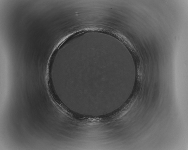 X0000114200484200910161228