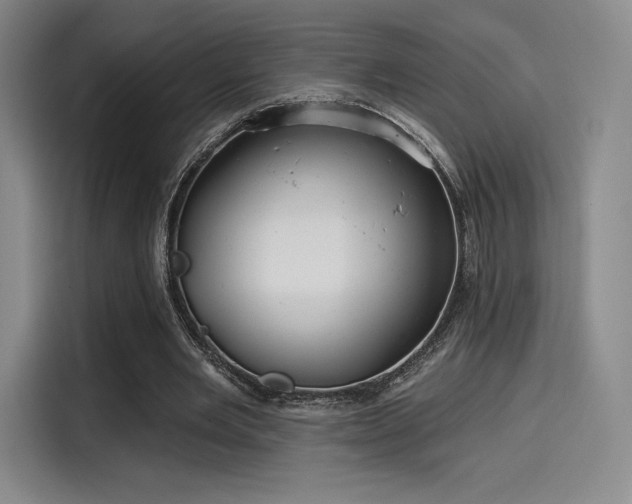 X0000114200485200910161228