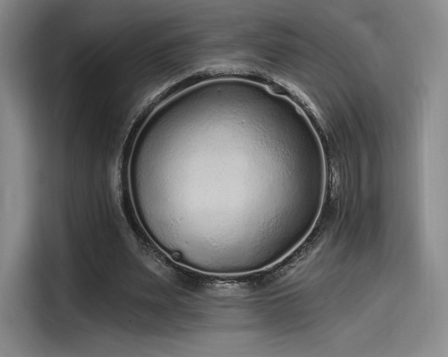 X0000114200487200910161228