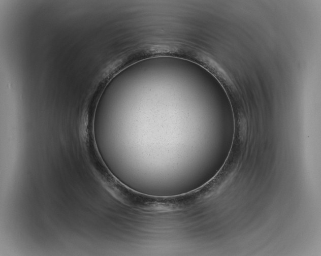 X0000114200490200910161228