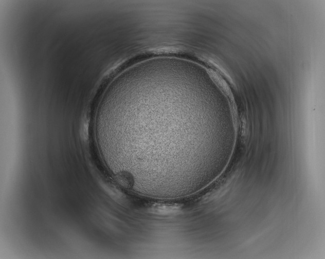 X0000114200491200910161228