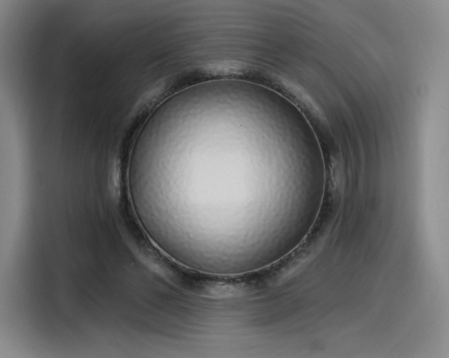 X0000114200494200910161228