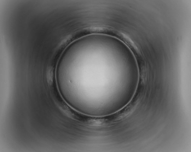 X0000114200495200910161228