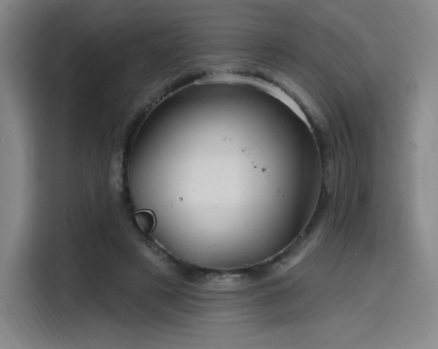 X0000114200497200910161228