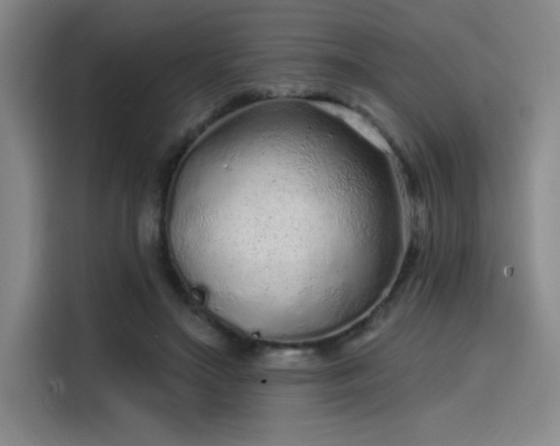 X0000114200499200910161227