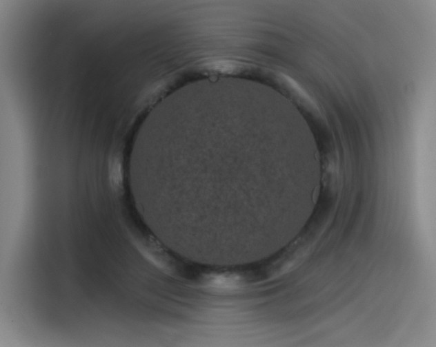 X0000114200500200910161227