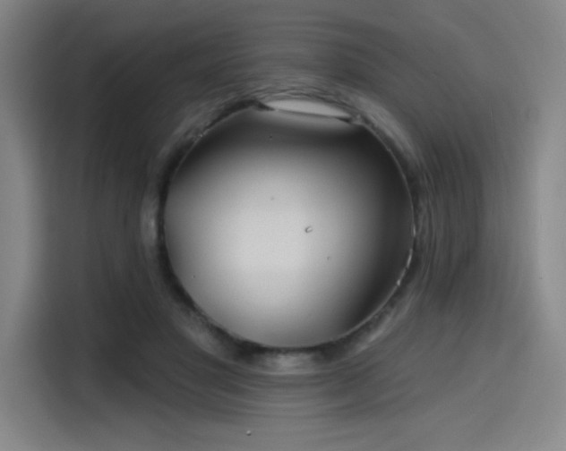 X0000114200501200910161227