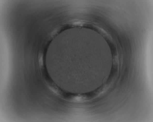 X0000114200504200910161227