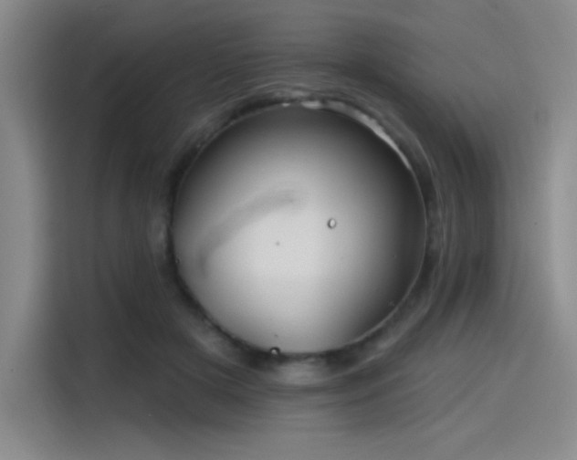 X0000114200505200910161227