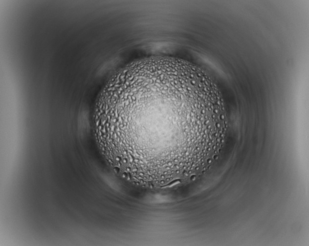 X0000114200506200910161227