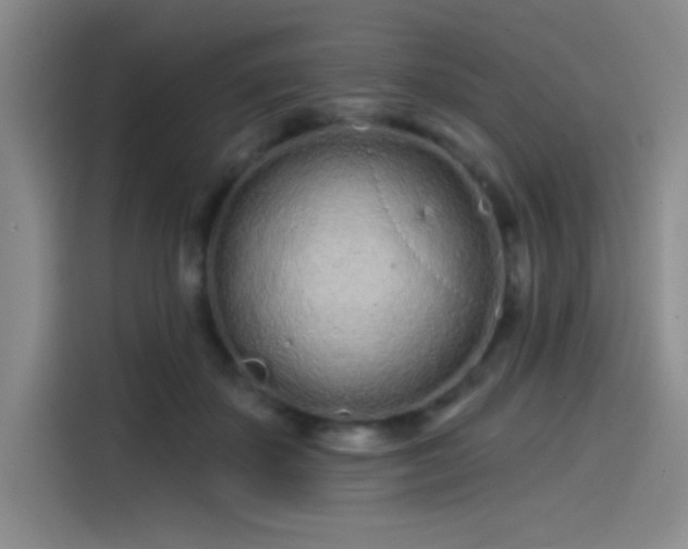 X0000114200507200910161227