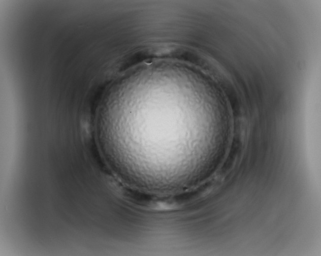 X0000114200510200910161227