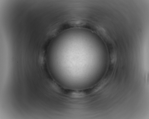 X0000114200515200910161227