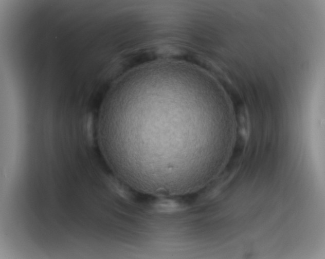 X0000114200519200910161227