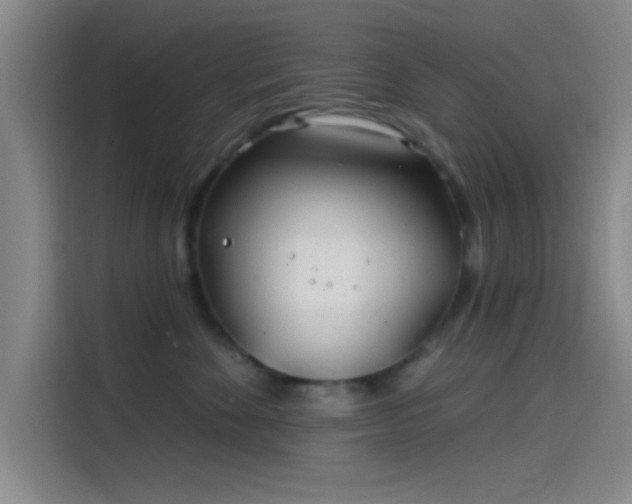 X0000114200524200910161227