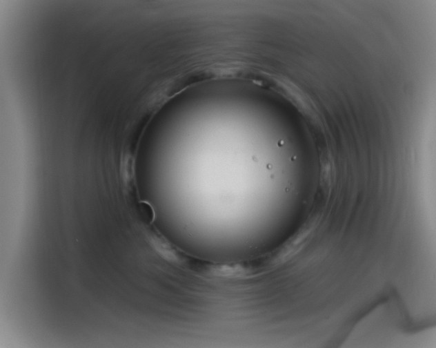 X0000114200525200910161227