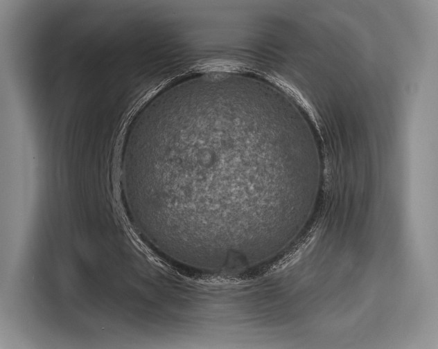 X0000114200529200910161226