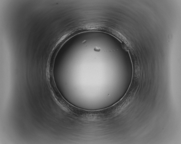 X0000114200530200910161226