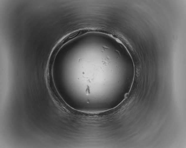 X0000114200532200910161227