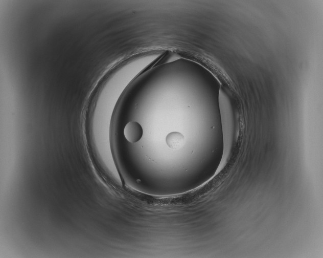 X0000114200534200910161227