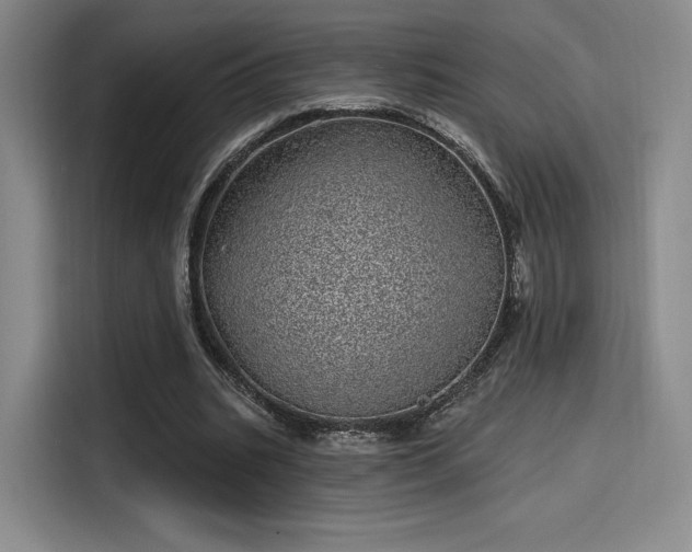 X0000114200535200910161227