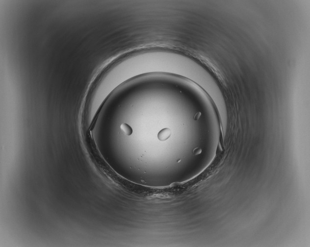 X0000114200536200910161227