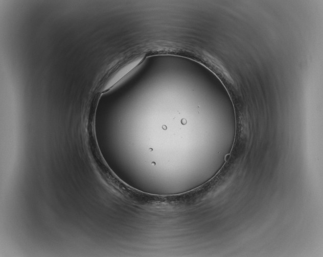 X0000114200538200910161227