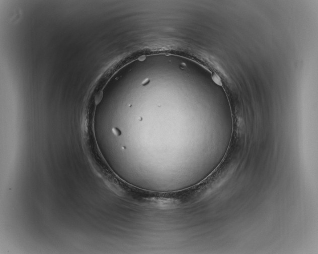 X0000114200539200910161227