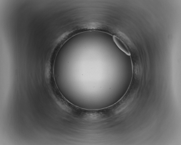 X0000114200540200910161227