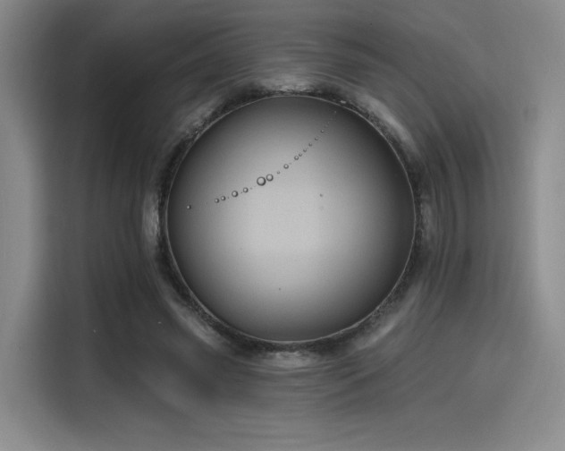 X0000114200541200910161227