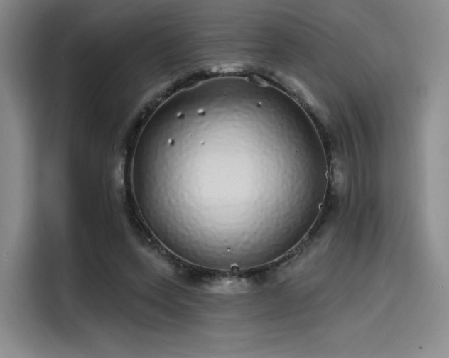 X0000114200543200910161227