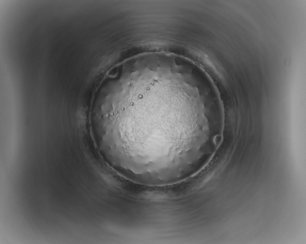 X0000114200545200910161227