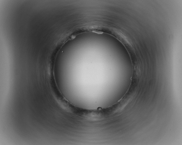 X0000114200546200910161227