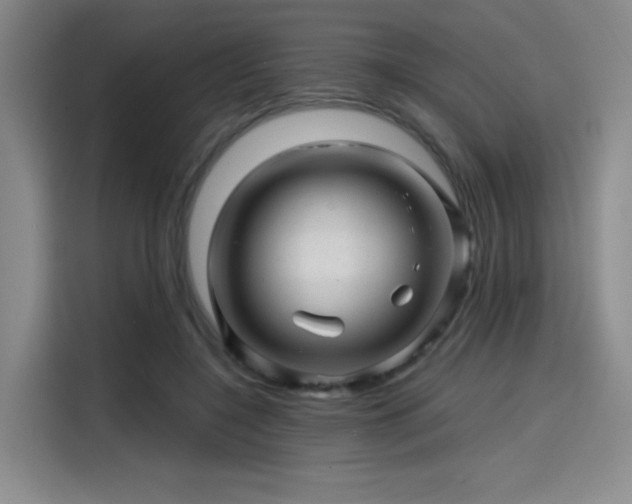 X0000114200548200910161227