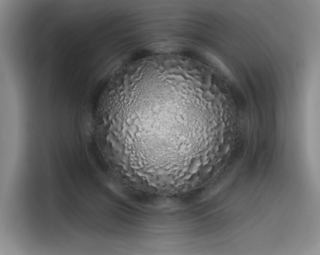 X0000114200549200910161227