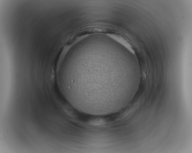 X0000114200551200910161227