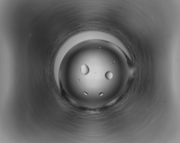 X0000114200552200910161227