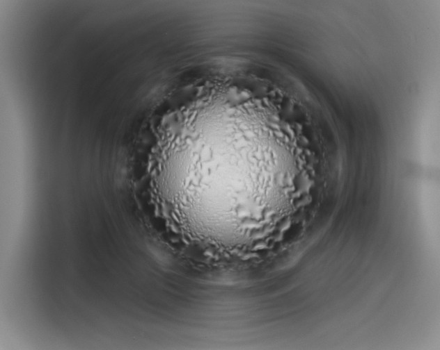 X0000114200553200910161227