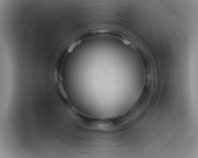 X0000114200555200910161227