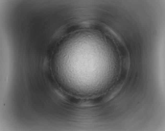 X0000114200557200910161227