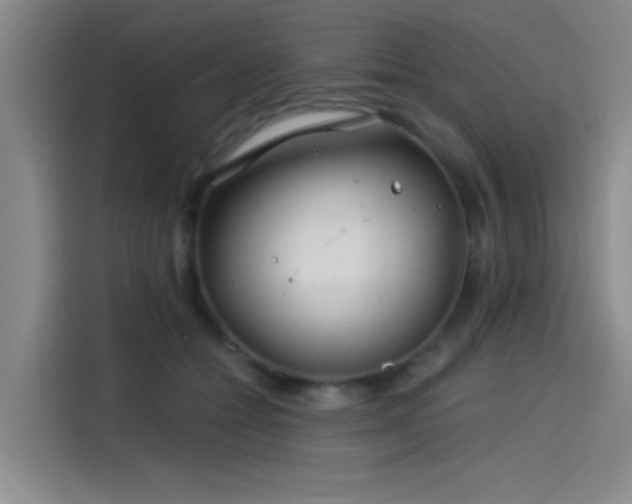 X0000114200558200910161227